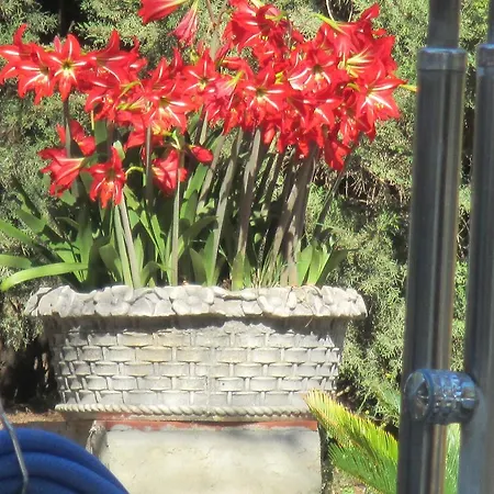 Bed & Breakfast Finca La Mota Alhaurin el Grande