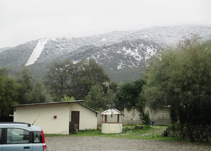 Oda ve Kahvaltı La Mota